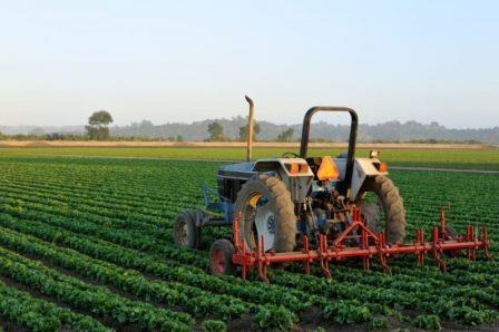 Possibility of agribusiness in self-sufficient India