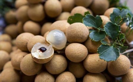 विदेशी फल लौंगन की नई किस्म का विकास