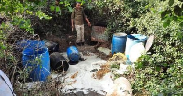 जबलपुर में घुघ्घु टोला-गधेरी के जंगल के  बन रही थी कच्ची शराब, पुलिस ने दी दबिश, 20 हजार लीटर लाहन, भट्टियां नष्ट की