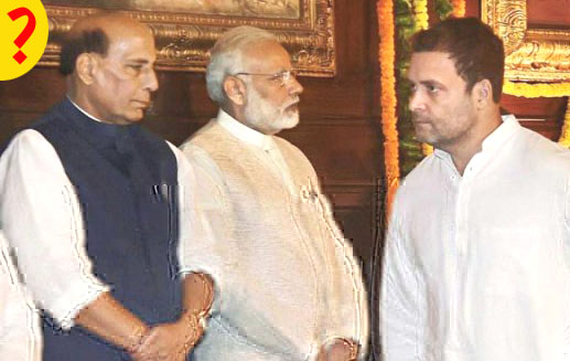 प्रधानमंत्री पद के लिए राहुल गांधी, राजनाथ सिंह से ज्यादा योग्य हैं?