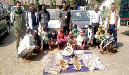 करंट लगाकर तेंदुआ का शिकार करने वाले 16 शिकारी गिरफ्तारी, चार जिलों में फैलाया था जाल
