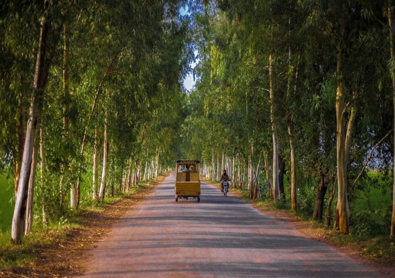 ग्रीन रिकवरी के नाम पर किये वादे का सिर्फ़ 18 फ़ीसद हुआ खर्च: संयुक्त राष्ट्र