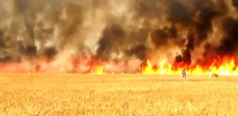 जबलपुर में 100 एकड़ की फसल में लगी भीषण आग