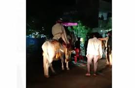 जबलपुर में पुलिस को देखते ही दूल्हा को छोड़कर भागे बाराती..!