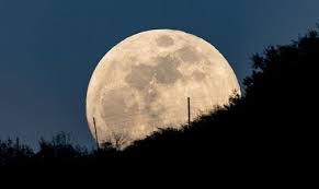 बुद्ध पूर्णिमा के दिन चांद धरती के सबसे करीब आ जाता ,इसलिए कुछ बड़ा दिखता