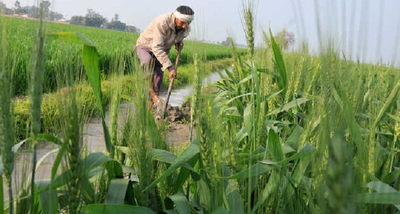 राजस्थान सरकार का निर्णय: सभी किसानों को दिया जायेगा ब्याज मुक्त फसली ऋण