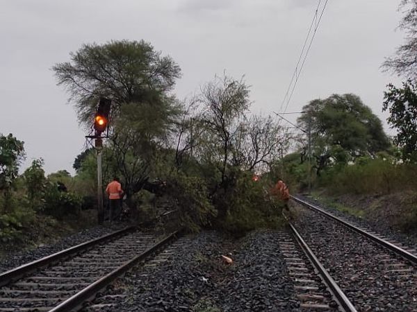 आंधी-तूफान से उखड़ा पेड, ट्रेक पर गिरा, जबलपुर-इटारसी रेल ट्रेक पर यातायात रहा बाधित, 1 दर्जन ट्रेनेें घंटों रुकी रही