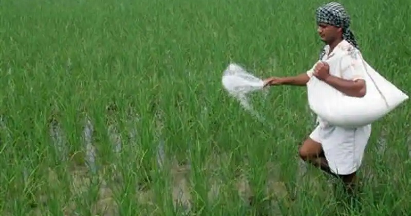 मोदी सरकार ने किसानों को दी बड़ी राहत: उर्वरक में मिलने वाली सब्सिडी बढ़ाकर की 1200 रुपये प्रति बैग