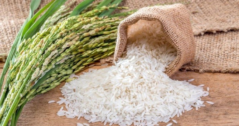 अंतरराष्ट्रीय बाजार में कम कीमत पर चावल बेचकर भारत ने किया पाकिस्तान का खेल खराब
