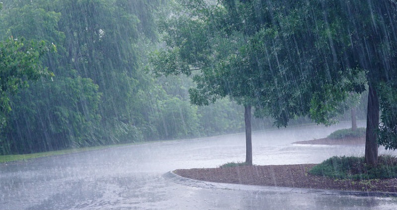मानसून ने पकड़ी रफ्तार, देश के अनेक राज्यों में भारी बारिश की चेतावनी