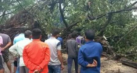 एमपी के जबलपुर में वर्षो पुराना बरगद का पेड़ गिरा, 5 लोग दबे