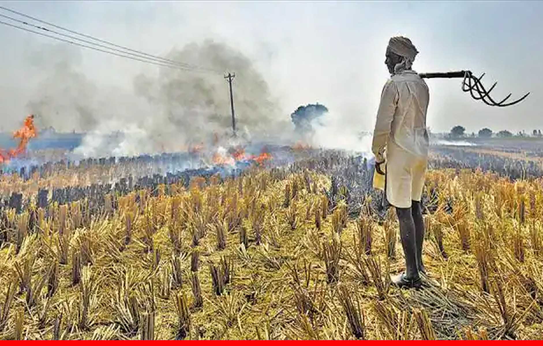 किसानों को राहत: अब पराली जलाने पर नहीं होगा मुकदमा, मोदी सरकार लाई नया कानून