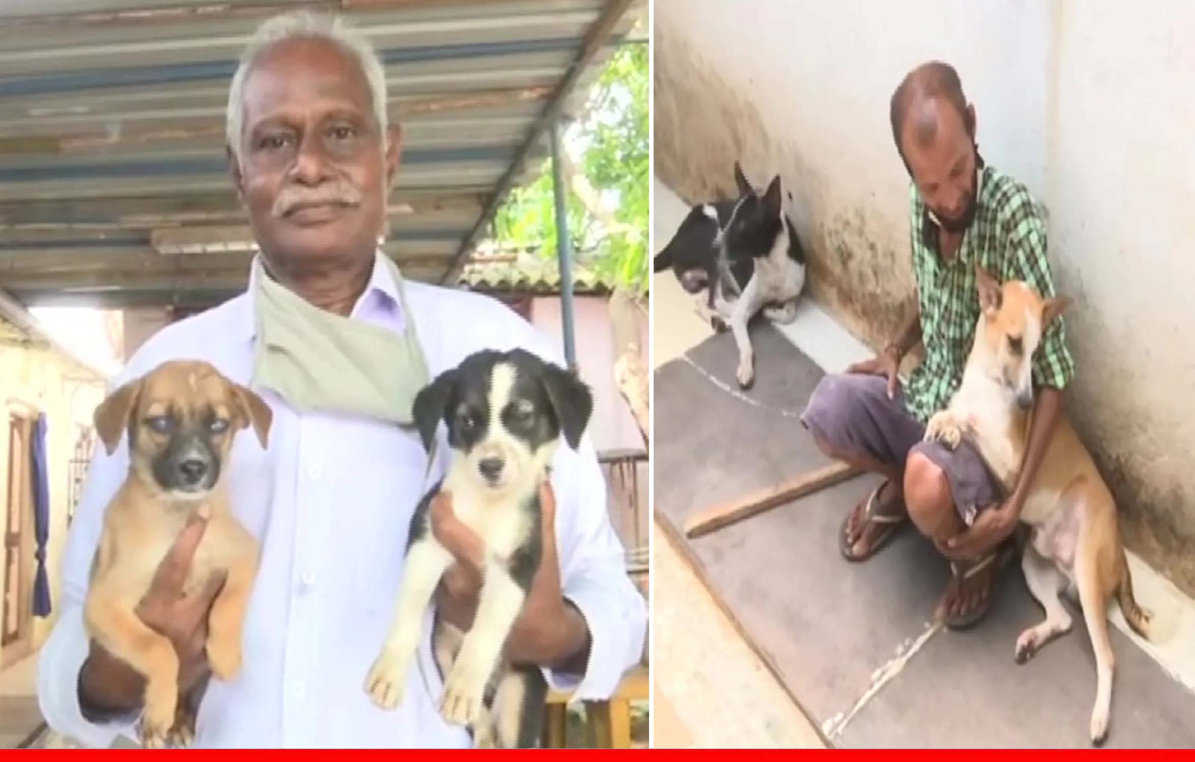 बीमार आवारा कुत्तों के लिए आंध्र प्रदेश के मुरला वेंकटेश्वरलु ने खोला 