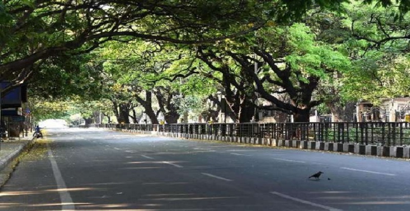 दिल्ली में हाईवे निर्माण के लिए काटे जा सकते हैं 5,100 से अधिक पेड़