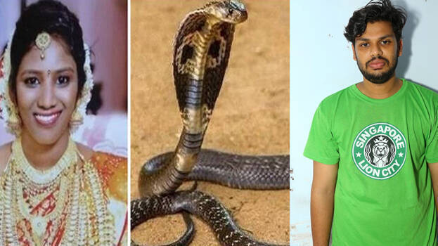 दहेज के लिए पत्नी को कोबरा से डसवाकर मारने वाला पति दोषी करार, बुधवार को सजा का ऐलान