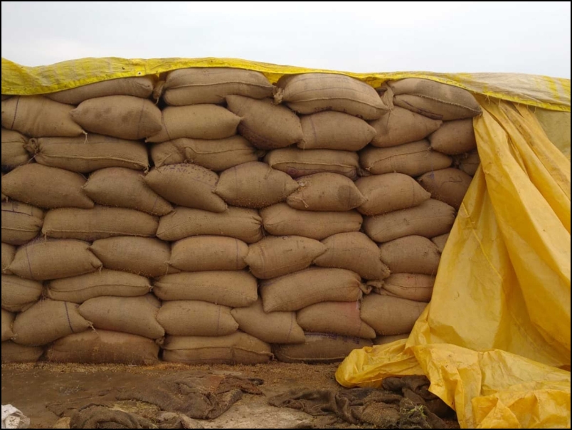 केंद्र सरकार का बड़ा निर्णय इस बार छत्तीसगढ़ से लेगी 61.65 लाख टन चावल