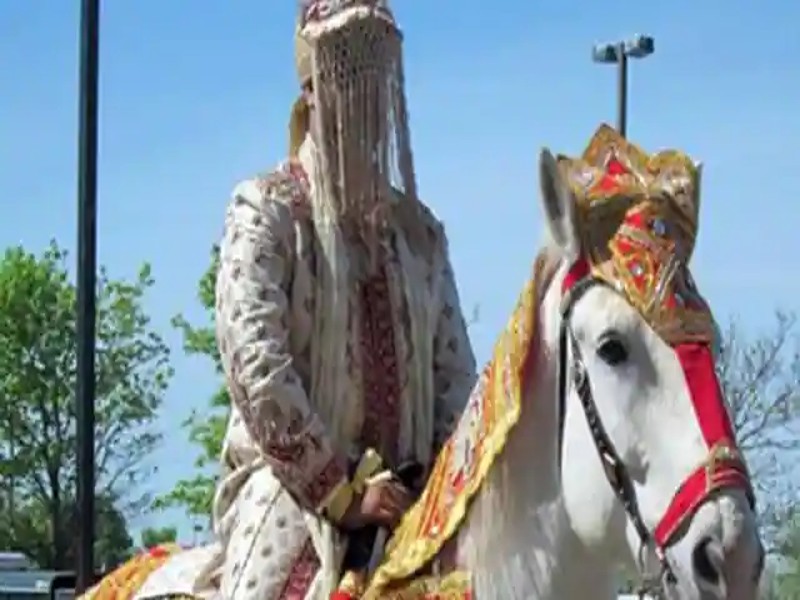 राजस्थान के अजमेर में बारात में फूटे फटाके दो बिदकी घोड़ी दूल्हे को लेकर भाग गई