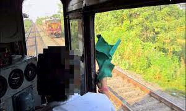 जबलपुर मंडल के एलपी, एएलपी ट्रेन चलाने के साथ मवेशियों की फोटो भी खीचेंगे, रेलवे बोर्ड के आदेश का उल्लंघन