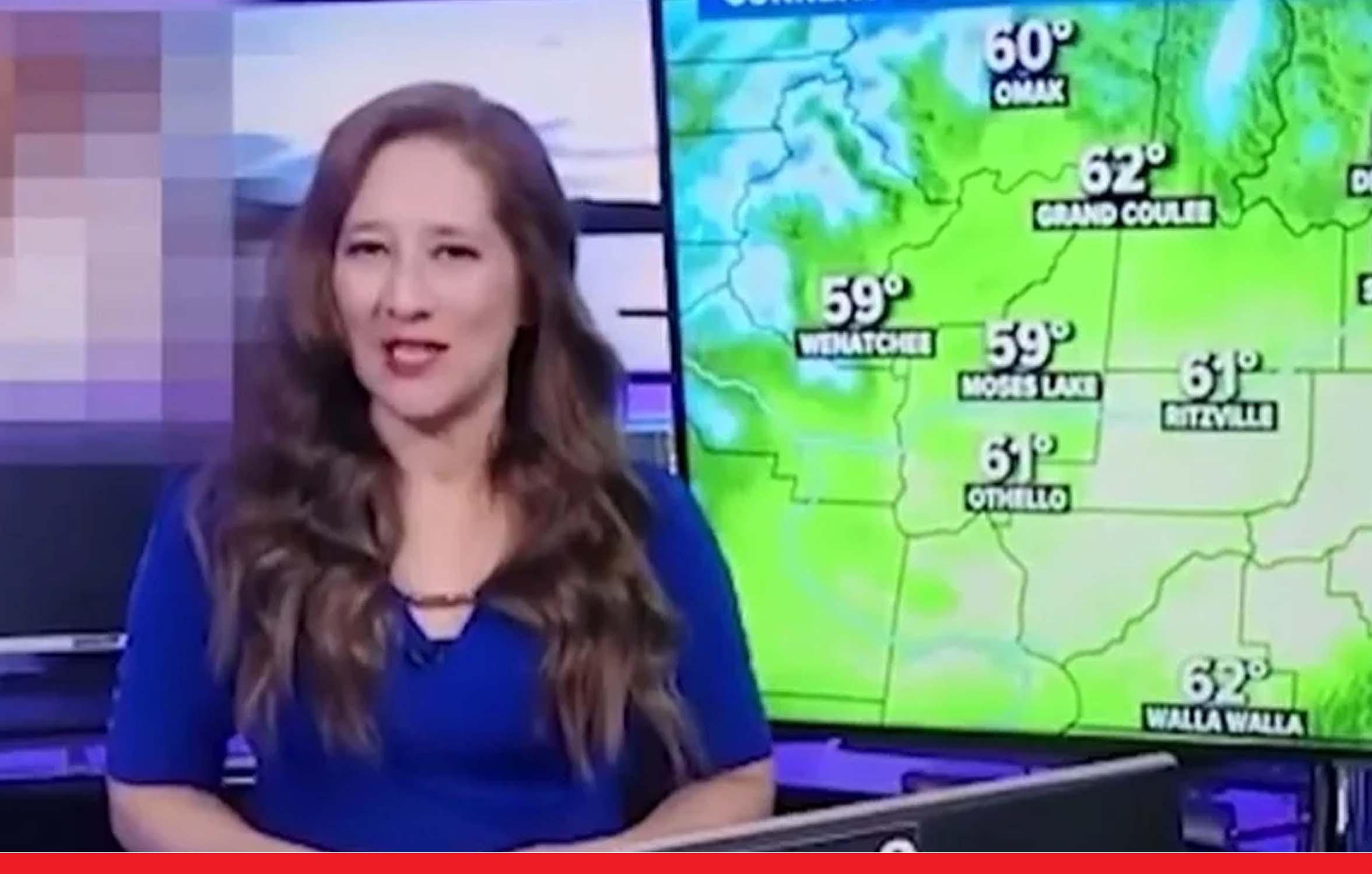 न्यूज चैनल पर चलने लगा पोर्न वीडियो, एंकर बेखबर होकर बताती रही मौसम का हाल