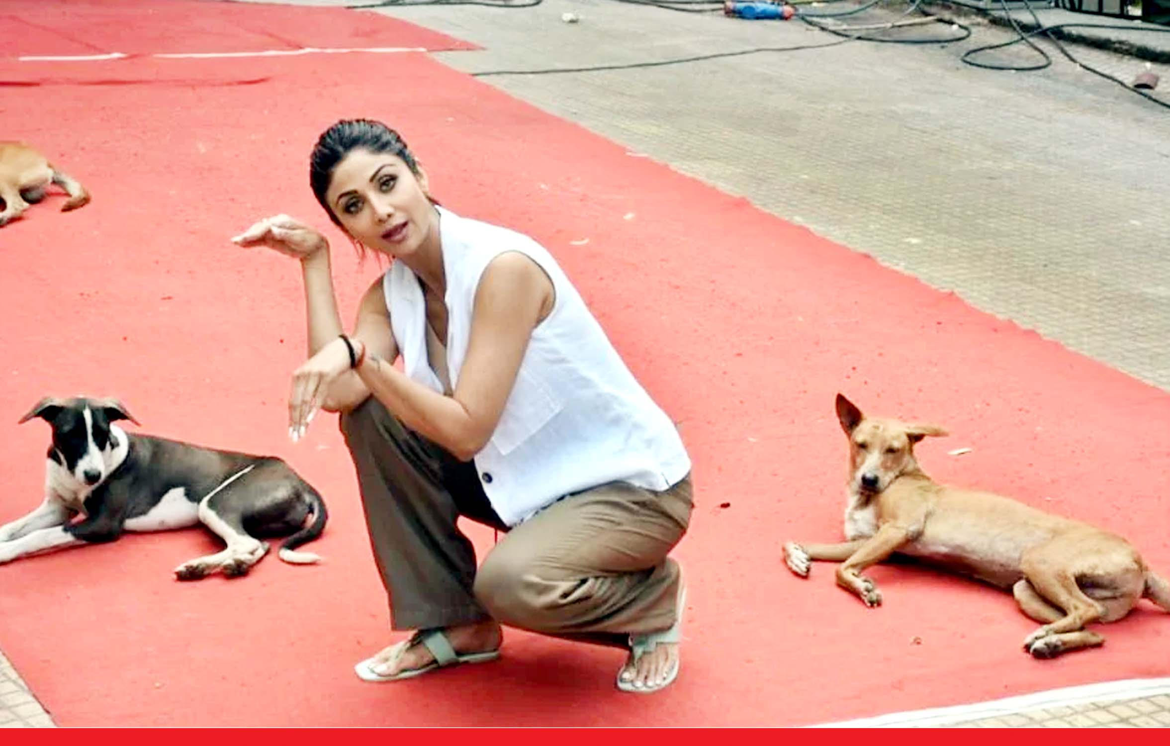 शिल्पा शेट्टी ने फिल्म सिटी में कुत्तों के साथ दिये मजेदार पोज