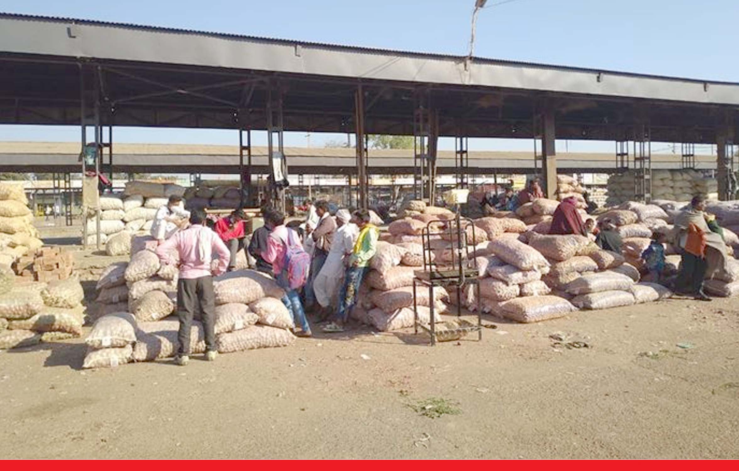 पंजाब: धान कटाई के बीच बंद होंगी 300 मंडियां, राज्य सरकार के विरोध में उतरे किसान