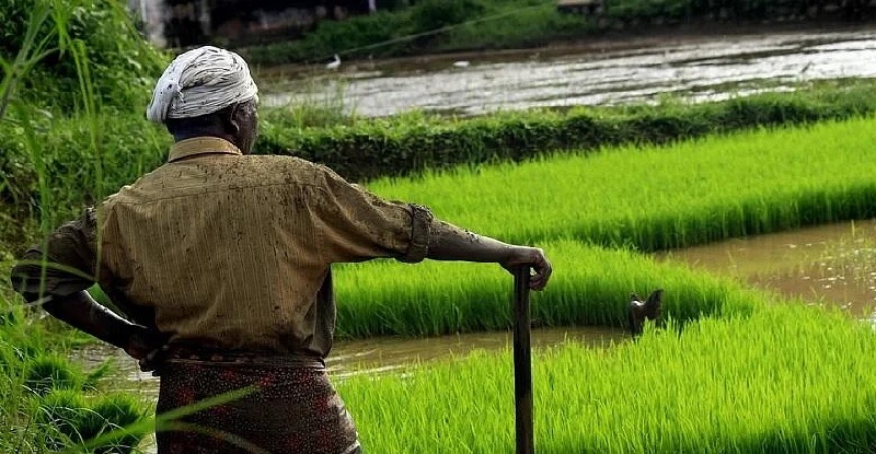 स्मार्टफोन खरीदने के लिए गुजरात सरकार किसानों को देगी 1,500 रुपये की मदद