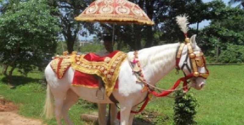 राजस्थान में दलित दूल्हे ने घोड़ी पर बैठकर तोरण मारा तो भड़के दबंग, बारात पर किया पथराव, अफरातफरी मची