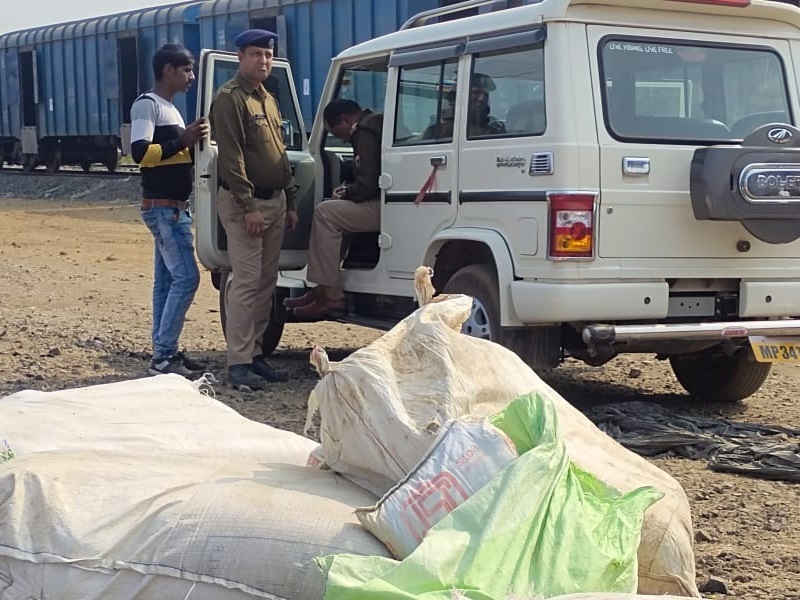 गेहूं लोड करने साइडिंग में खड़ी मालगाड़ी में रखा एक क्विंटल से अधिक गांजा जब्त