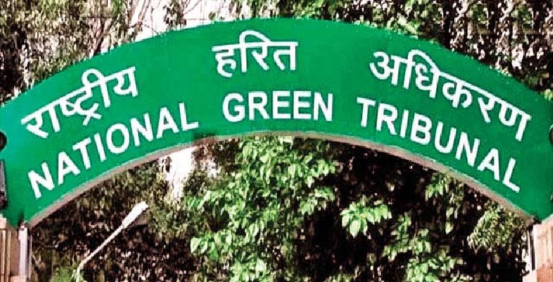 NGT के आदेश के बाद भी दिवाली पर फोड़े गए पटाखे! इन चार जिलों के जिलाधिकारियों को नोटिस जारी