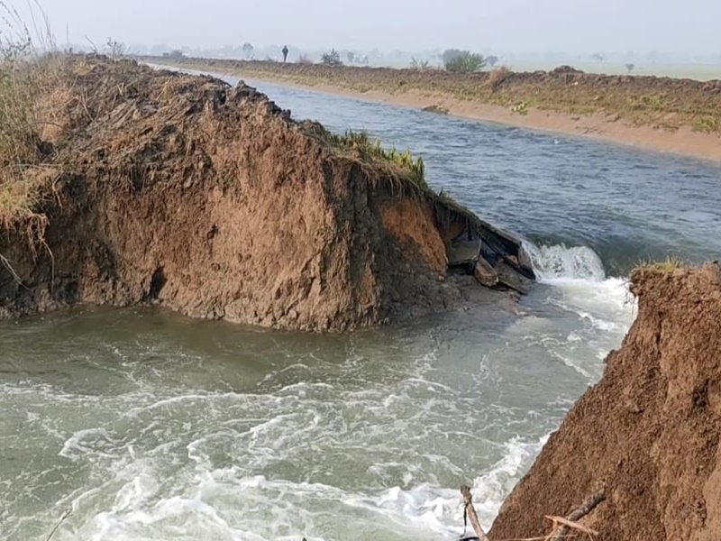 एमपी के सिवनी में भीमगढ़ बांध की दायीं मुख्य नहर फूटी, पानी में डूबे सैकड़ों एकड़ खेत, तबाह हो गई फसल