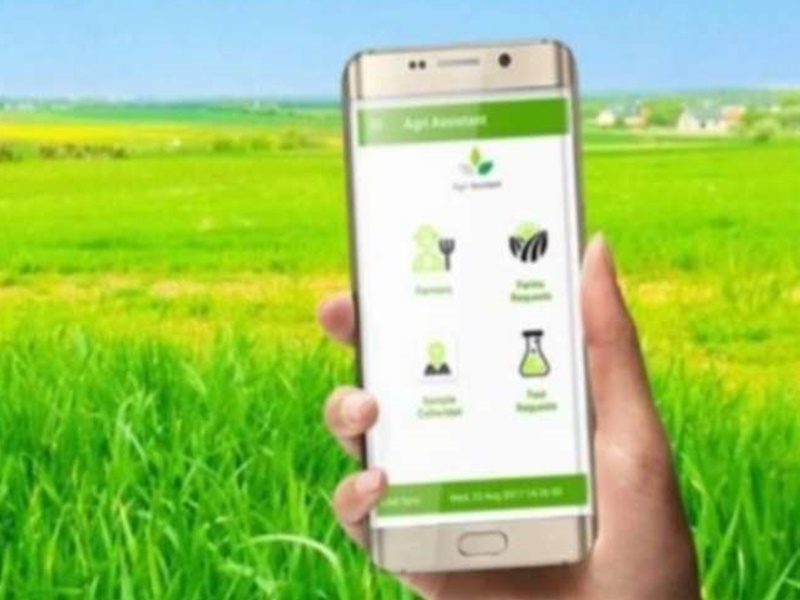 गुजरात: किसानों को सरकार स्मार्ट फोन खरीदने पर आर्थिक सहायता, मिलेगी खेती, पशुपालन, मौसम की जानकारी