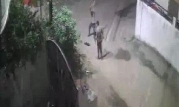 जबलपुर में मानवता को शर्मसार करने वाली घटना, दो युवकों ने स्ट्रीट डॉग को लाठियों से पीट-पीटकर मार डाला