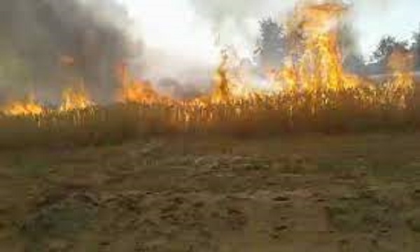नरवाई में लगी आग से आसपास 6 किसानों के खेत में लगी 15 एकड़ गेंहू की फसल खाक..!