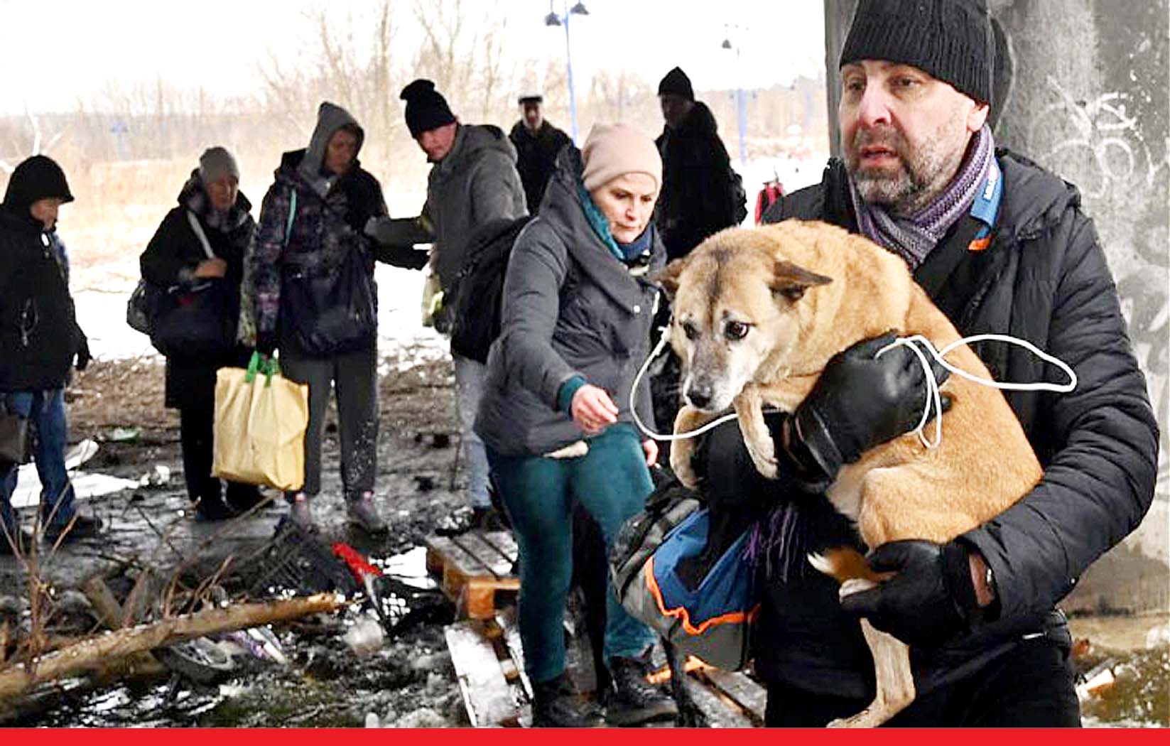 रूस-यूक्रेन युद्ध ने इंसान ही नहीं बेजुबान जानवरों को भी नहीं बख्शा, 355 कुत्तों की मौत