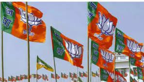 राज्यसभा चुनाव के लिए भाजपा ने उम्मीदवारों का किया ऐलान, इन लोगों को मिली टिकट