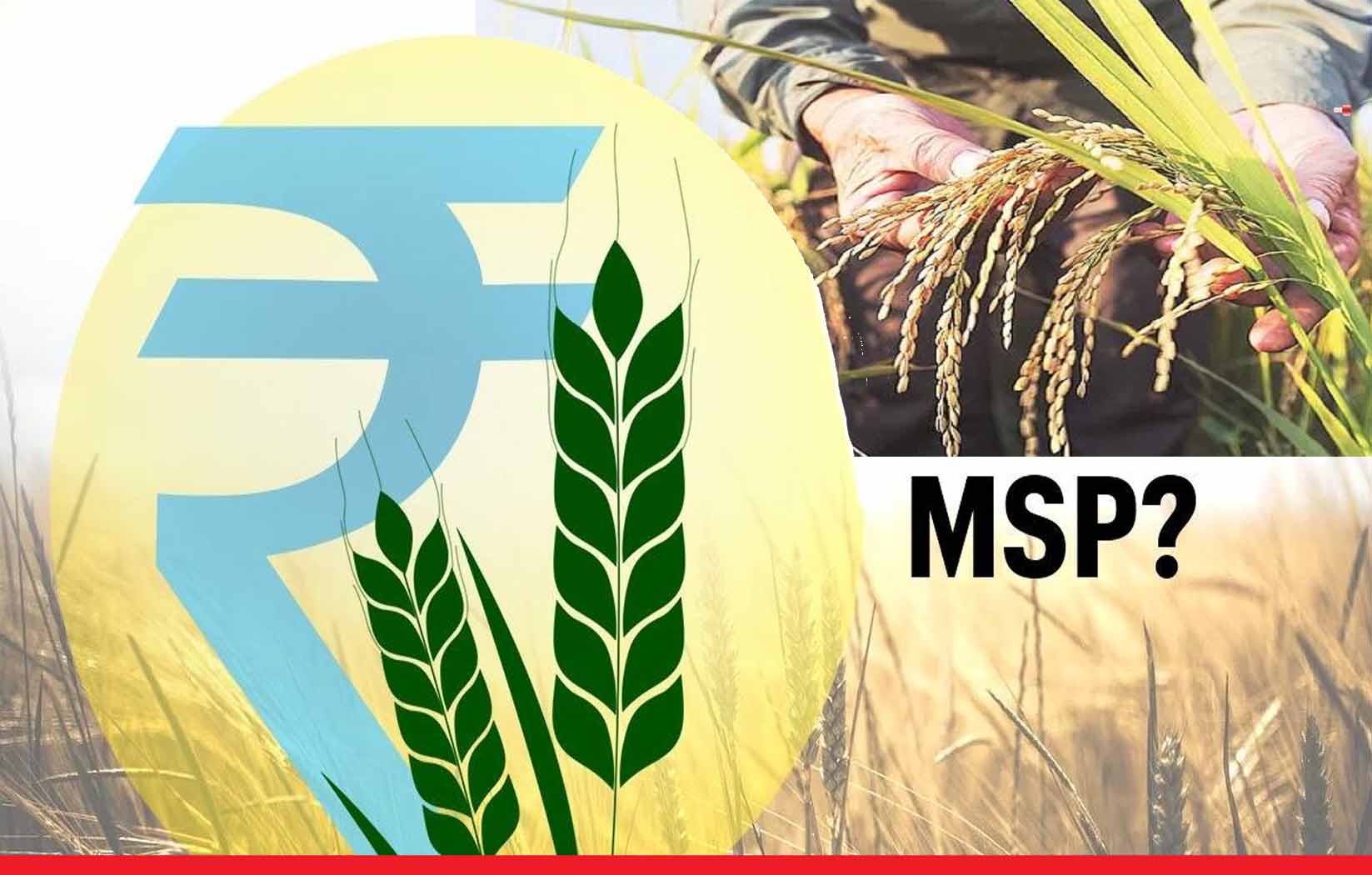खरीफ फसलों पर केंद्र की MSP से नाखुश हैं पंजाब के किसान, महंगाई दर के मुकाबले बताया बहुत कम