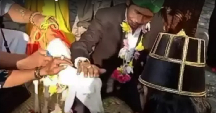 युवक ने बकरी को बनाया दुल्हन, रचाई शादी, निकाह के लिए 117 रुपए दिए, बवाल बढ़ा