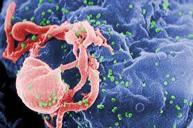 एचआईवी का मिल गया इलाज, वैक्सीन की महज एक डोज से खत्म हो सकेगी गंभीर बीमारी