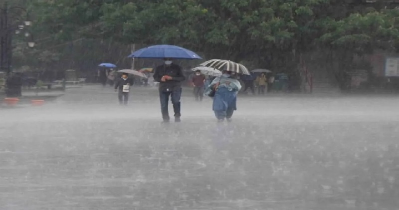 मध्यप्रदेश में भारी बारिश की चेतावनी: मौसम विभाग ने इन शहरों के लिए जारी किया ऑरेंज अलर्ट