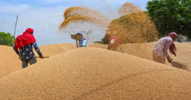 भूटान का खाद्य संकट दूर करने आगे आया भारत, 5000 टन गेहूं और 10 हजार टन चीनी भेजने की घोषणा