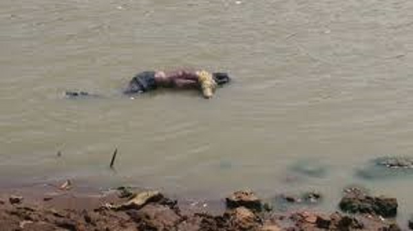 जबलपुर में हिरण नदी में बहते आई महिला की लाश, मचा हड़कम्प