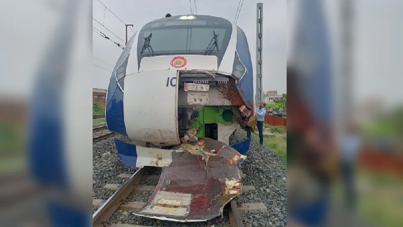 गुजरात में भैंसों के झुंड से टकराई वंदे भारत एक्सप्रेस, क्षतिग्रस्त हुआ ट्रेन का इंजन
