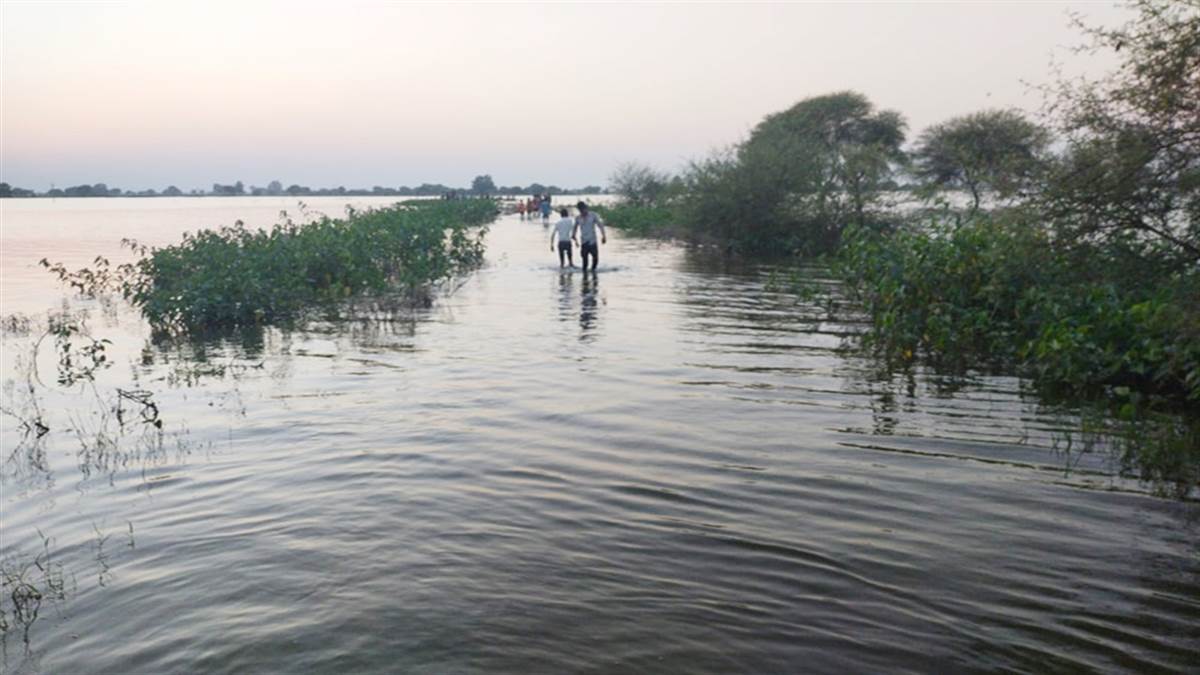 MP NEWS- मंदसौर के पास बड़ा हादसा, नदी में नाव पलटने से बही पांच महिलाएं, तलाश जारी