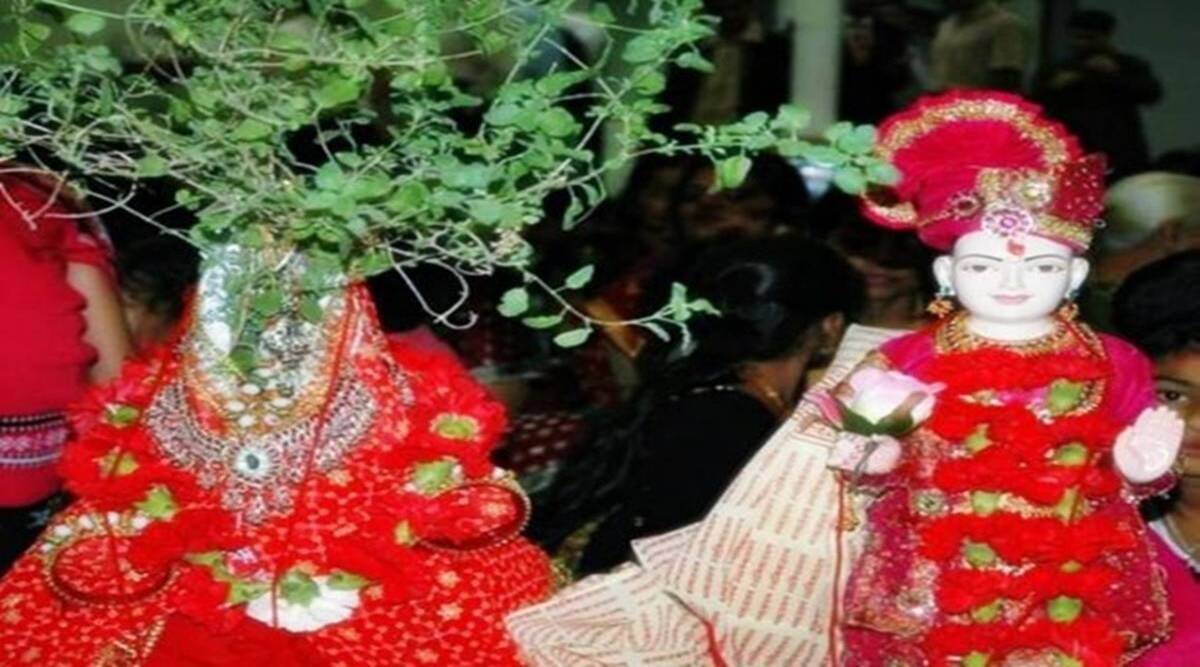 शालिग्राम के साथ तुलसी विवाह संपन्न कराने वालों को वैवाहिक सुख प्राप्त होता