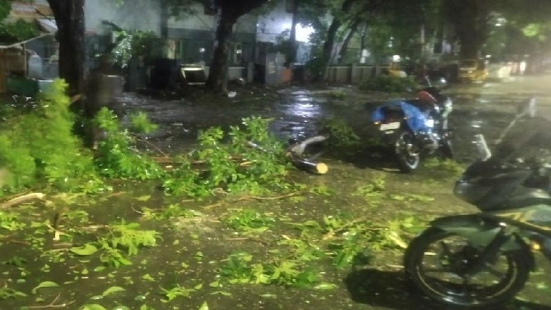 मैंडूस ने तमिलनाडु में मचाई भारी तबाही, कई जगह उखड़े पेड़, वाहनों को भी हुआ नुकसान