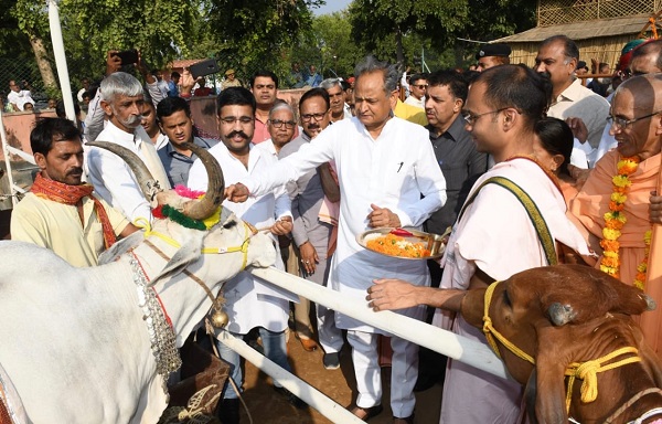 Rajasthan News: मुख्यमंत्री अशोक गहलोत श्री गो कृपा कथा महोत्सव तथा किसान सम्मेलन में होंगे शरीक!
