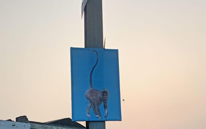 बंदरों से परेशान रेलवे का अनूठा प्रयोग: आगरा स्टेशन पर लंगूर के कटआउट लगाए, लंगूरों की आवाज भी गुंजा रहे