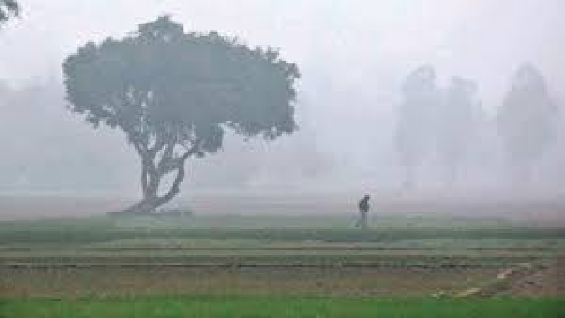 उत्तर भारत में ठंड से मिलेगी राहत लेकिन मौसम विभाग ने जारी किया बारिश, बर्फबारी और ओलावृष्टि का अलर्ट
