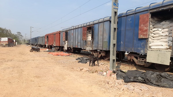एफसीआई ने पहली बार बुदनी मालगोदाम से कल्याणी भेजा अनाज का रेक, रेलवे को हुई 55 लाख की कमाई