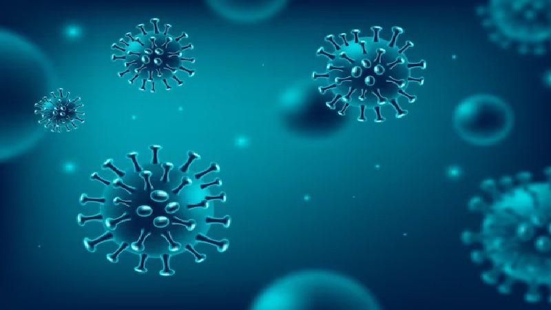 देश में कोरोना वायरस के संक्रमण ने पकड़ी रफ्तार: नये केसों में 24 घंटे में 13 प्रतिशत का इजाफा